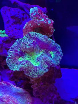 新江ノ島水族館に投稿された画像（2024/12/14）