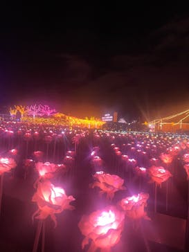 東京メガイルミに投稿された画像（2024/12/14）