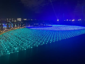 東京メガイルミに投稿された画像（2024/12/14）