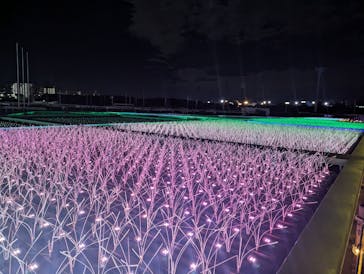 東京メガイルミに投稿された画像（2024/12/14）