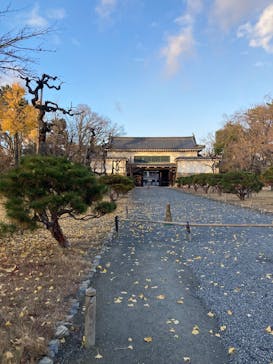 元離宮二条城に投稿された画像（2024/12/14）