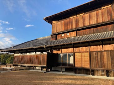 元離宮二条城に投稿された画像（2024/12/14）