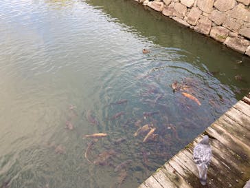 元離宮二条城に投稿された画像（2024/12/14）