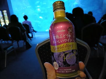新江ノ島水族館に投稿された画像（2024/12/14）
