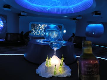 新江ノ島水族館に投稿された画像（2024/12/14）