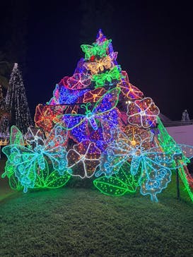 美らヤシパークオキナワ・東南植物楽園に投稿された画像（2024/12/14）