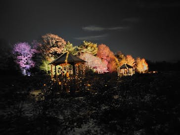 世羅高原農場に投稿された画像（2024/12/14）