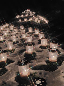 世羅高原農場に投稿された画像（2024/12/14）