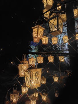 世羅高原農場に投稿された画像（2024/12/14）