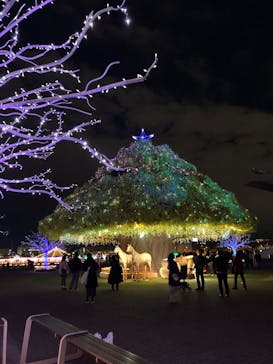 東京メガイルミに投稿された画像（2024/12/14）