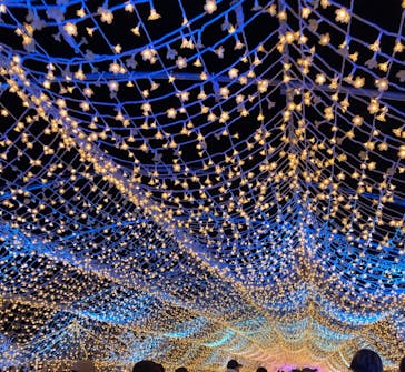 東京メガイルミに投稿された画像（2024/12/14）