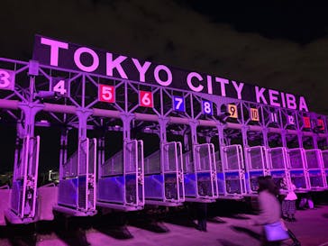 東京メガイルミに投稿された画像（2024/12/14）