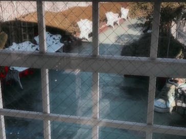 浅草花やしきに投稿された画像（2024/12/14）