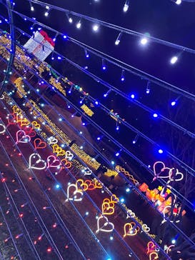 みろくの里に投稿された画像（2024/12/14）