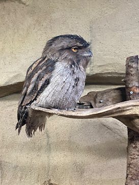 那須どうぶつ王国に投稿された画像（2024/12/14）