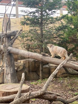 那須どうぶつ王国に投稿された画像（2024/12/14）