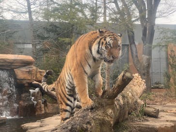 那須どうぶつ王国に投稿された画像（2024/12/14）