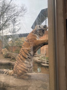 那須どうぶつ王国に投稿された画像（2024/12/14）