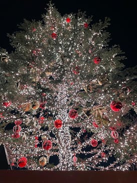 Christmas Market in 横浜赤レンガ倉庫 2025に投稿された画像（2024/12/14）