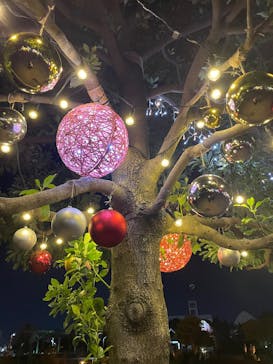 Christmas Market in 横浜赤レンガ倉庫 2025に投稿された画像（2024/12/14）