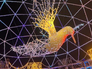 フェスタ・ルーチェに投稿された画像（2024/12/14）