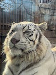 東武動物公園に投稿された画像（2024/12/15）