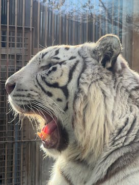 東武動物公園に投稿された画像（2024/12/14）