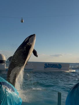 鴨川シーワールドに投稿された画像（2024/12/14）