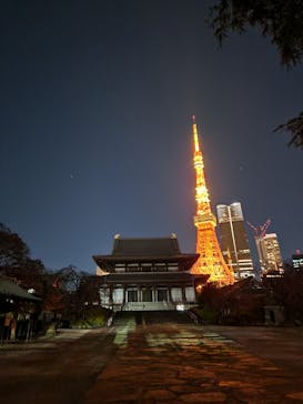 東京タワーに投稿された画像（2024/12/14）
