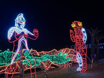 鹿児島イルミナージュに投稿された画像（2024/12/15）