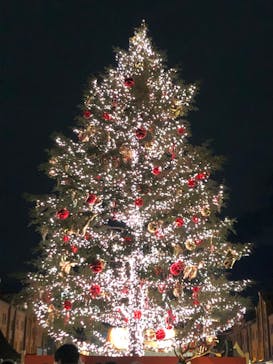 Christmas Market in 横浜赤レンガ倉庫 2025に投稿された画像（2024/12/15）