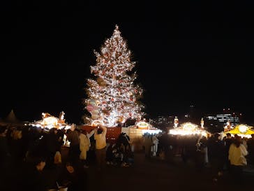 Christmas Market in 横浜赤レンガ倉庫 2025に投稿された画像（2024/12/15）