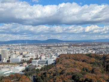 名古屋市東山動植物園に投稿された画像（2024/12/15）