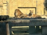東武動物公園に投稿された画像（2024/12/15）
