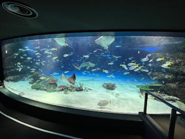 サンシャイン水族館に投稿された画像（2024/12/15）