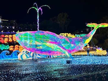 伊豆高原グランイルミに投稿された画像（2024/12/15）