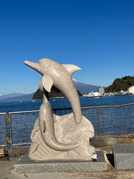 伊豆・三津シーパラダイスに投稿された画像（2024/12/15）