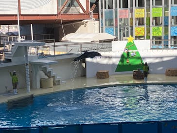 伊豆・三津シーパラダイスに投稿された画像（2024/12/15）