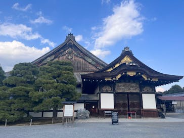 元離宮二条城に投稿された画像（2024/12/15）