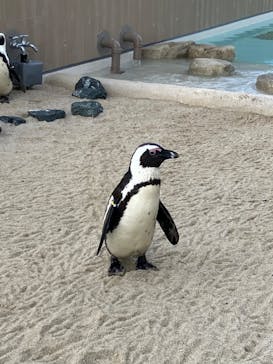 マリンワールド海の中道に投稿された画像（2024/12/15）