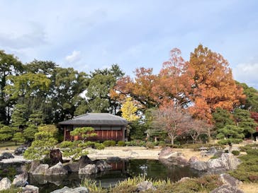 元離宮二条城に投稿された画像（2024/12/15）