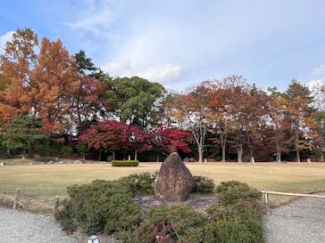 元離宮二条城に投稿された画像（2024/12/15）