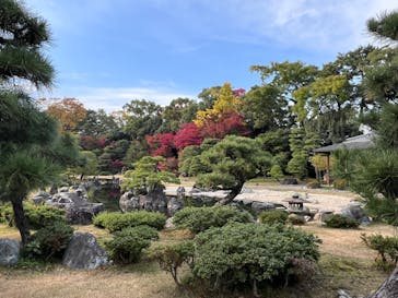 元離宮二条城に投稿された画像（2024/12/15）