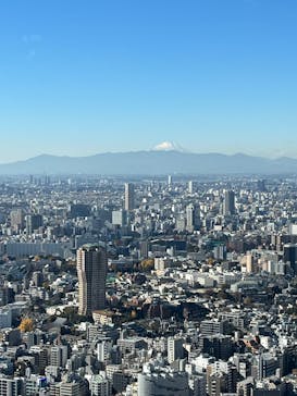 東京タワーに投稿された画像（2024/12/15）