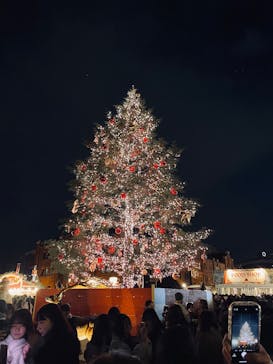 Christmas Market in 横浜赤レンガ倉庫 2025に投稿された画像（2024/12/15）