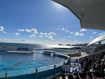 鴨川シーワールドに投稿された画像（2024/12/15）