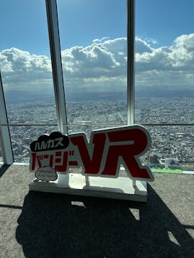 ハルカス300(展望台)に投稿された画像（2024/12/15）