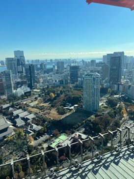 東京タワーに投稿された画像（2024/12/15）