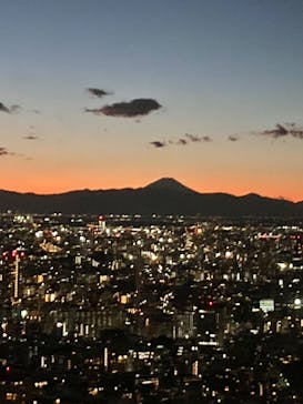 六本木ヒルズ展望台 東京シティビューに投稿された画像（2024/12/15）