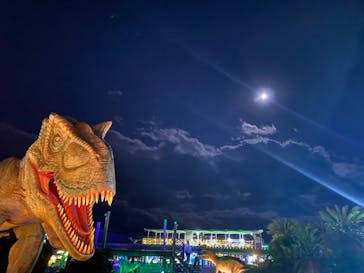 伊豆高原グランイルミに投稿された画像（2024/12/15）